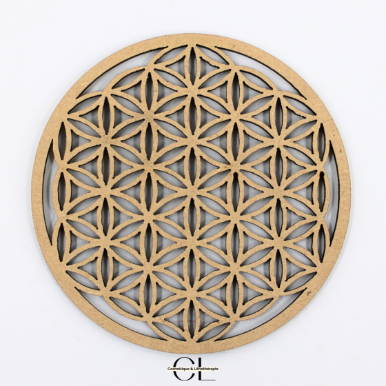Plaque Fleur de Vie Sculptée Bois 10cm | Lithothérapie pas cher