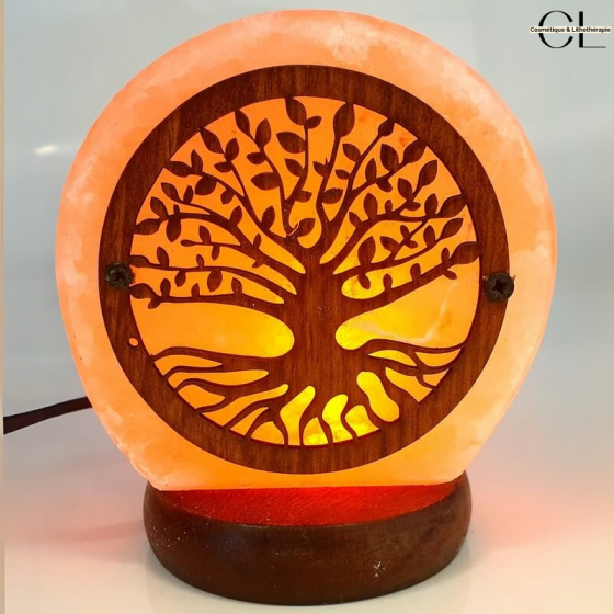 Lampe de Sel USB Arbre de Vie 1KG Pas Cher | Livraison Rapide