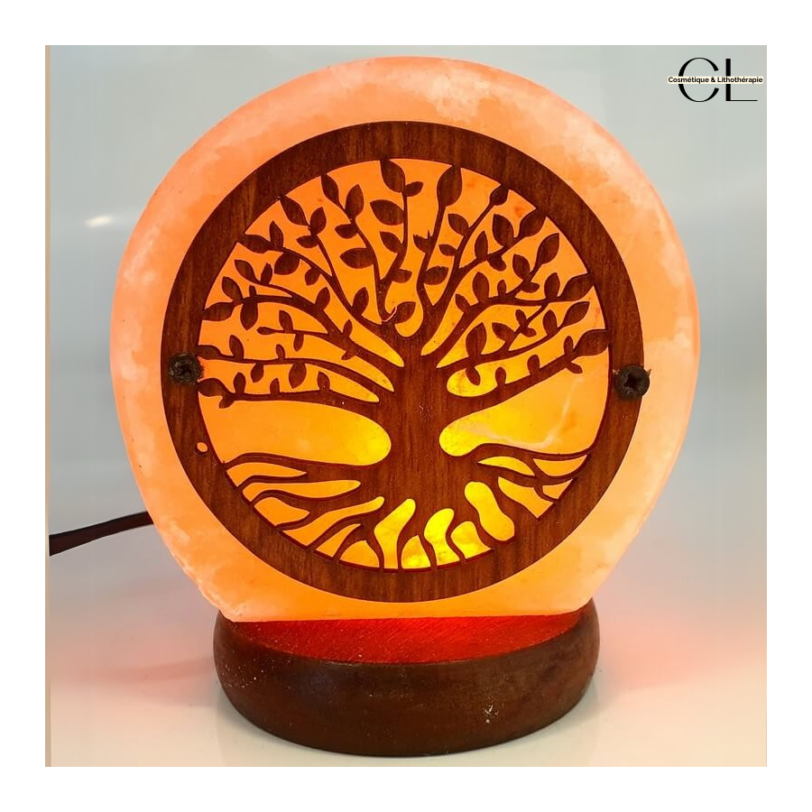 Lampe de Sel USB Arbre de Vie 1KG Pas Cher | Livraison Rapide