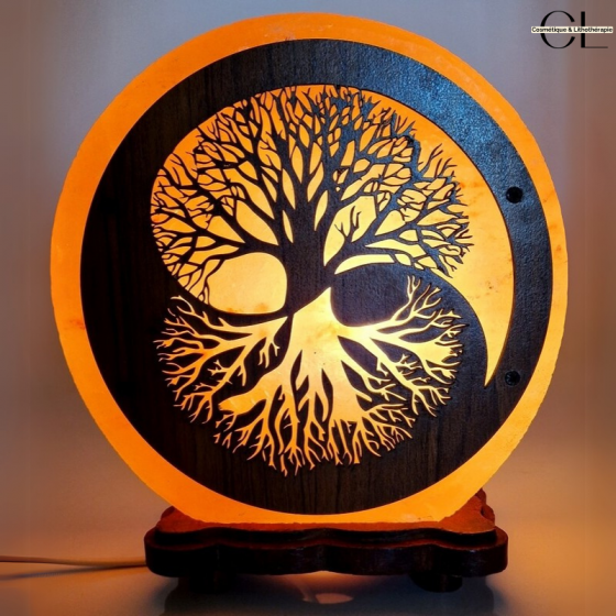 Lampe de sel d'Himalaya Arbre de Vie Yin-Yang 5KG Pas Cher