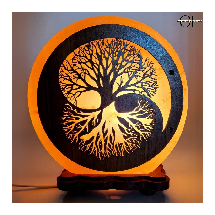 Lampe de sel d'Himalaya Arbre de Vie Yin-Yang 5KG Pas Cher