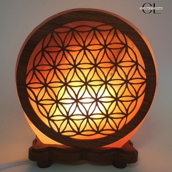 Lampe de sel d'Himalaya Fleur de vie 5KG Pas Cher