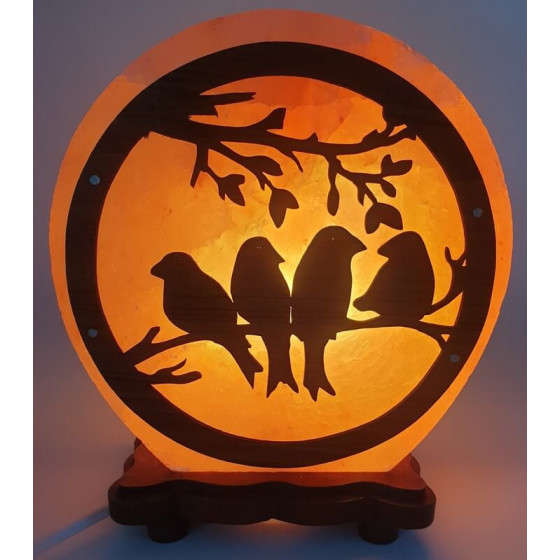 Lampe de Sel Oiseaux 5KG Pas Cher