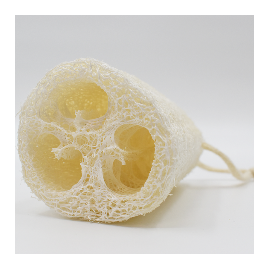 Une éponge Luffa Pas Cher