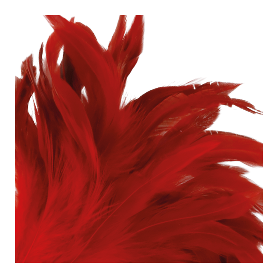 Darkness Stylo stimulant rouge 24 cm – Accessoire sensuel puissant | Ma Boutique en Folie