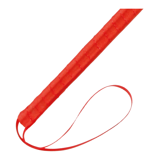 Darkness Stylo stimulant rouge 24 cm – Accessoire sensuel puissant | Ma Boutique en Folie