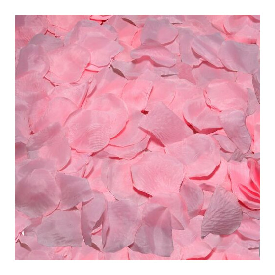 Diablo Picante 100 pétales de roses – Décoration romantique & sensuelle | Ma Boutique en Folie