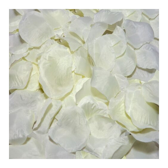 Diablo Picante 100 pétales de vanille – Décoration romantique & ambiance sensuelle