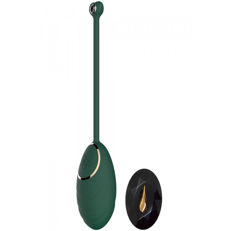 Œuf vibrant vert avec télécommande USB Pas Cher