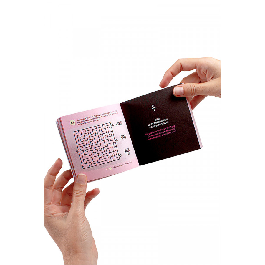 Jeu Coquin The Secret Pyramid Pas Cher