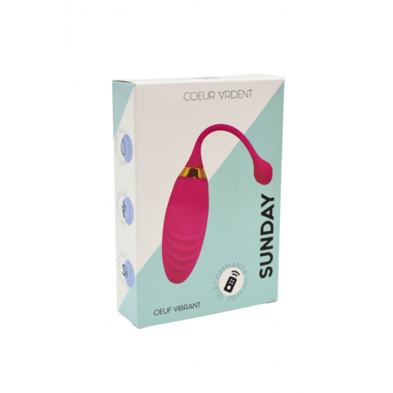 SUNDAY / Œuf vibrant USB avec télécommande Pas Cher