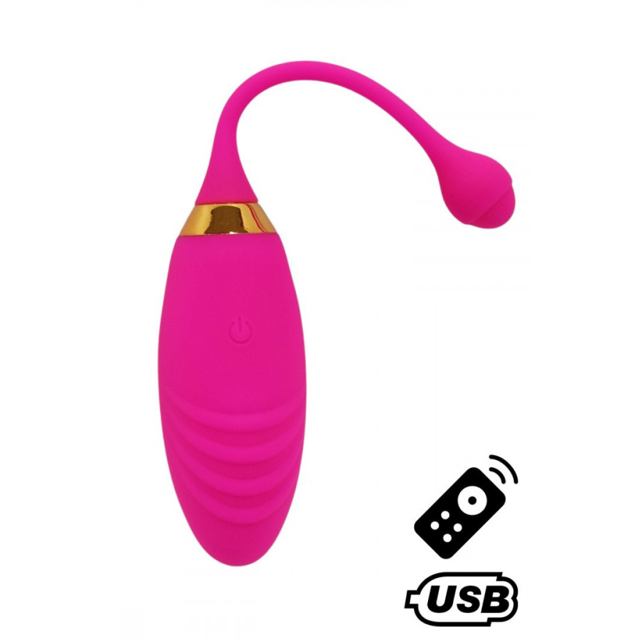 SUNDAY / Œuf vibrant USB avec télécommande Pas Cher