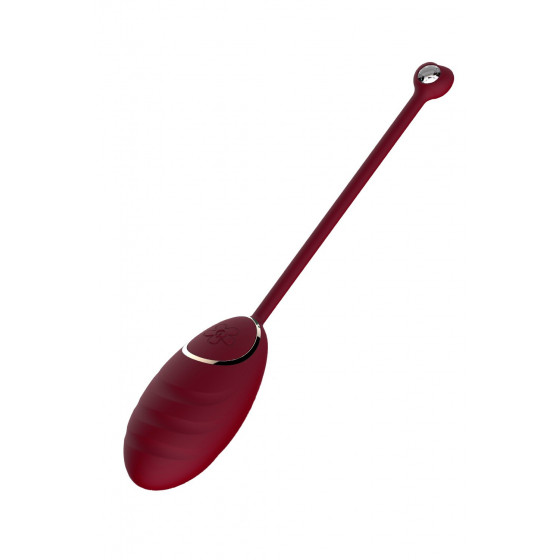 Œuf vibrant rouge avec télécommande USB Pas Cher