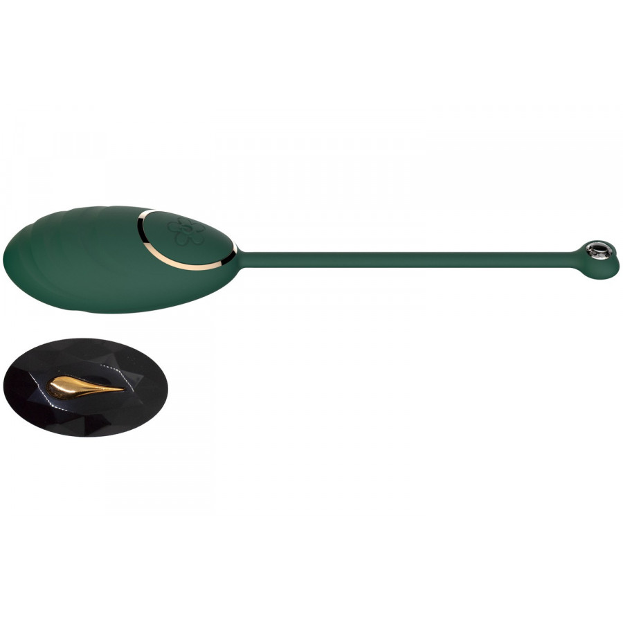 Œuf vibrant vert avec télécommande USB Pas Cher